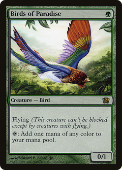 Birds of Paradise - Foil