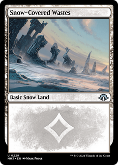 Snow-Covered Wastes (0229)