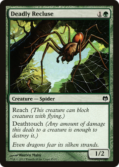 Deadly Recluse