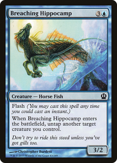 Breaching Hippocamp - Foil