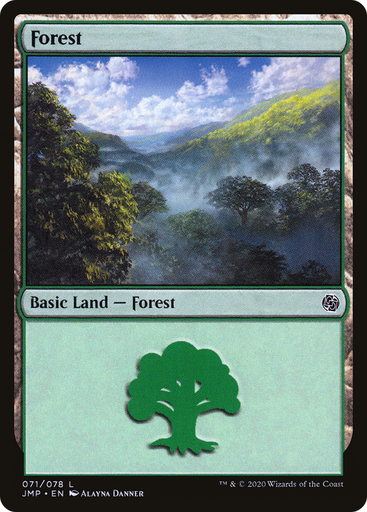 Forest (071)