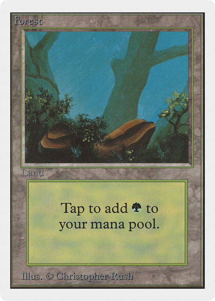 Forest (Rocks)