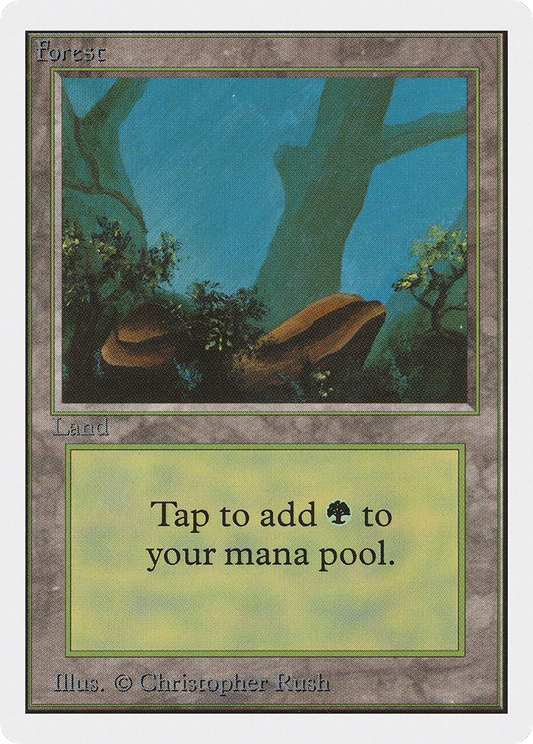 Forest (Rocks)
