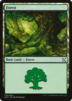 Forest (33)
