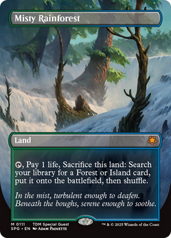 Misty Rainforest (0111) (Borderless)