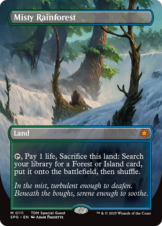 Misty Rainforest (0111) (Borderless)