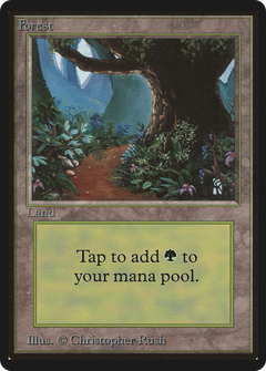 Forest (Path)