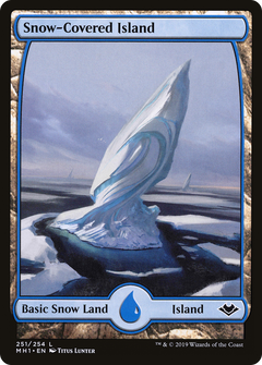 Snow-Covered Island (251)