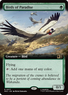Birds of Paradise (0377) (Extended Art) (MSC)