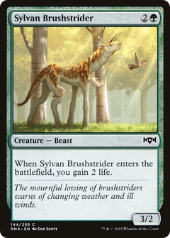 Sylvan Brushstrider - Foil