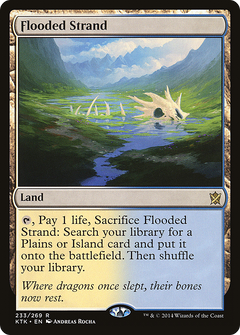 Flooded Strand - Foil
