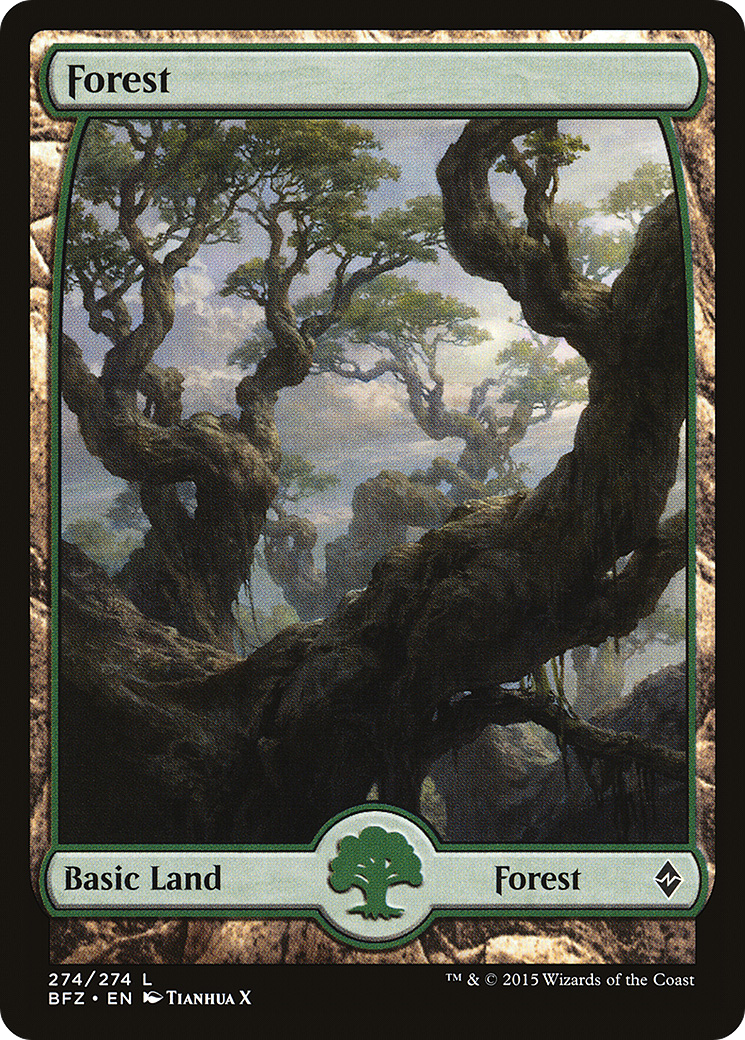 Forest (274) (Full Art) - Foil