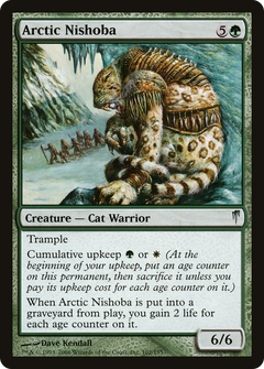 Arctic Nishoba - Foil