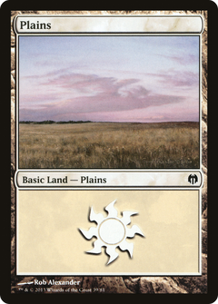 Plains (39)