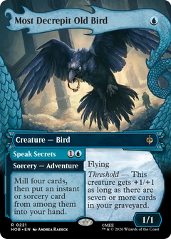 Most Decrepit Old Bird // Speak Secrets (0221) (Borderless) (Dragon Hoard Frame) (HOB)