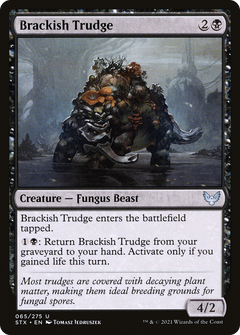Brackish Trudge - Foil