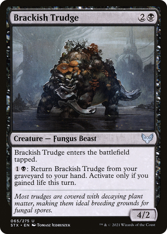 Brackish Trudge - Foil