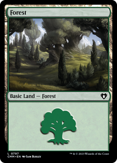Forest (0797)