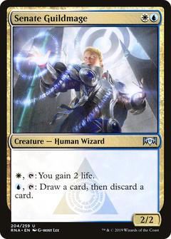 Senate Guildmage - Foil