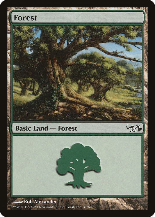 Forest (31)