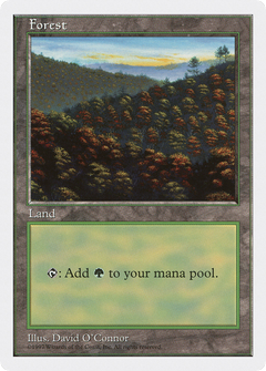 Forest (Orange Trees)