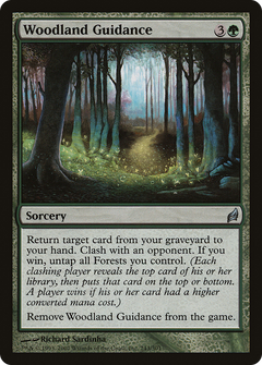Woodland Guidance - Foil