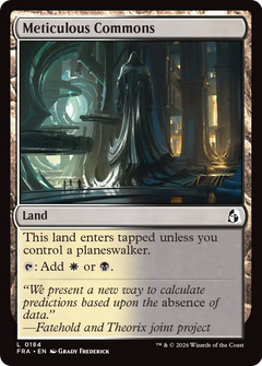 Meticulous Commons (FRA)