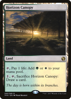 Horizon Canopy - Foil