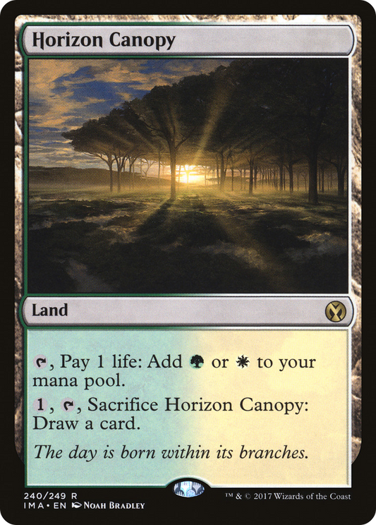 Horizon Canopy - Foil
