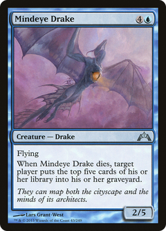 Mindeye Drake - Foil
