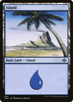 Island (484) - Foil Etched