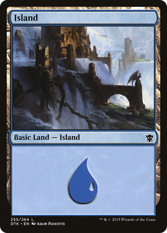 Island (255) - Foil