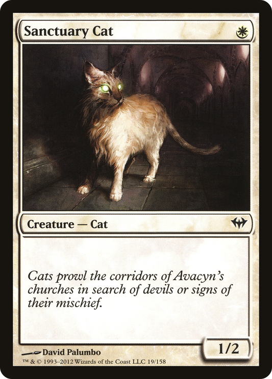 Sanctuary Cat - Foil