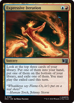 Expressive Iteration (MSC) - Surge Foil