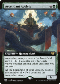 Ascendant Acolyte (064) (Extended Art)