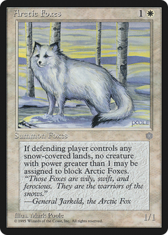 Arctic Foxes