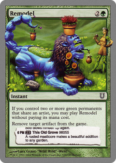 Remodel - Foil