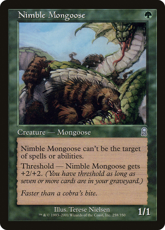 Nimble Mongoose - Foil