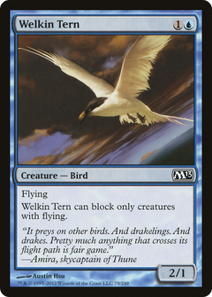 Welkin Tern
