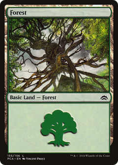 Forest (155)
