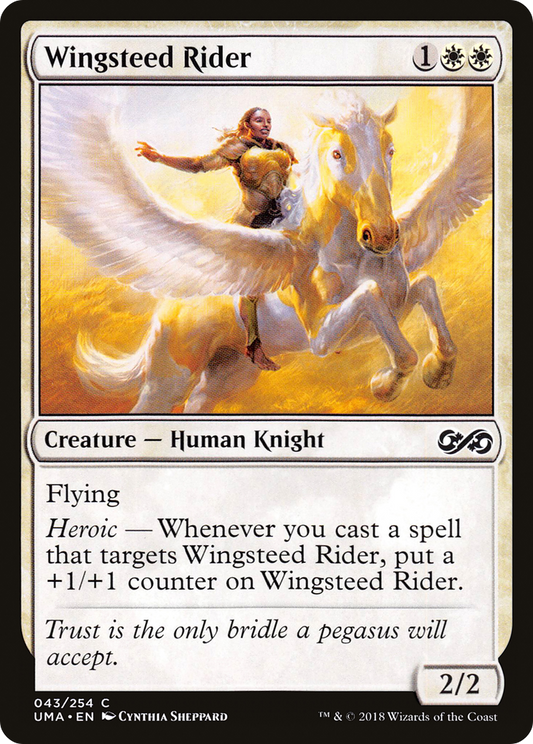 Wingsteed Rider - Foil