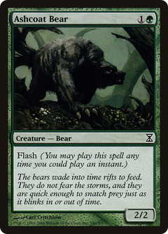 Ashcoat Bear - Foil