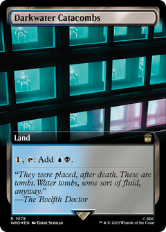 Darkwater Catacombs (1078) (Extended Art) - Surge Foil