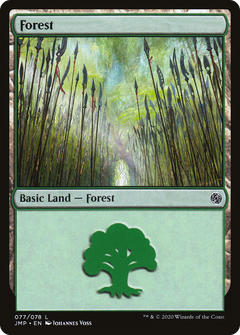 Forest (077)