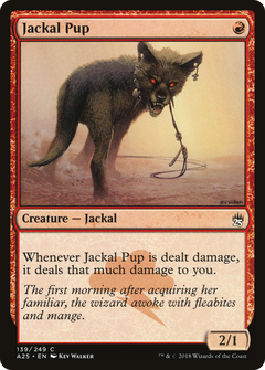 Jackal Pup - Foil