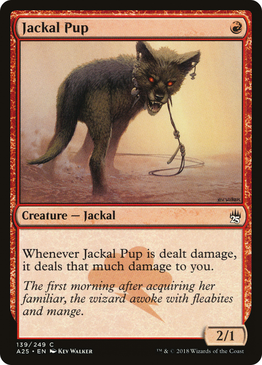 Jackal Pup - Foil