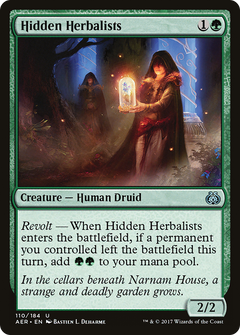 Hidden Herbalists - Foil