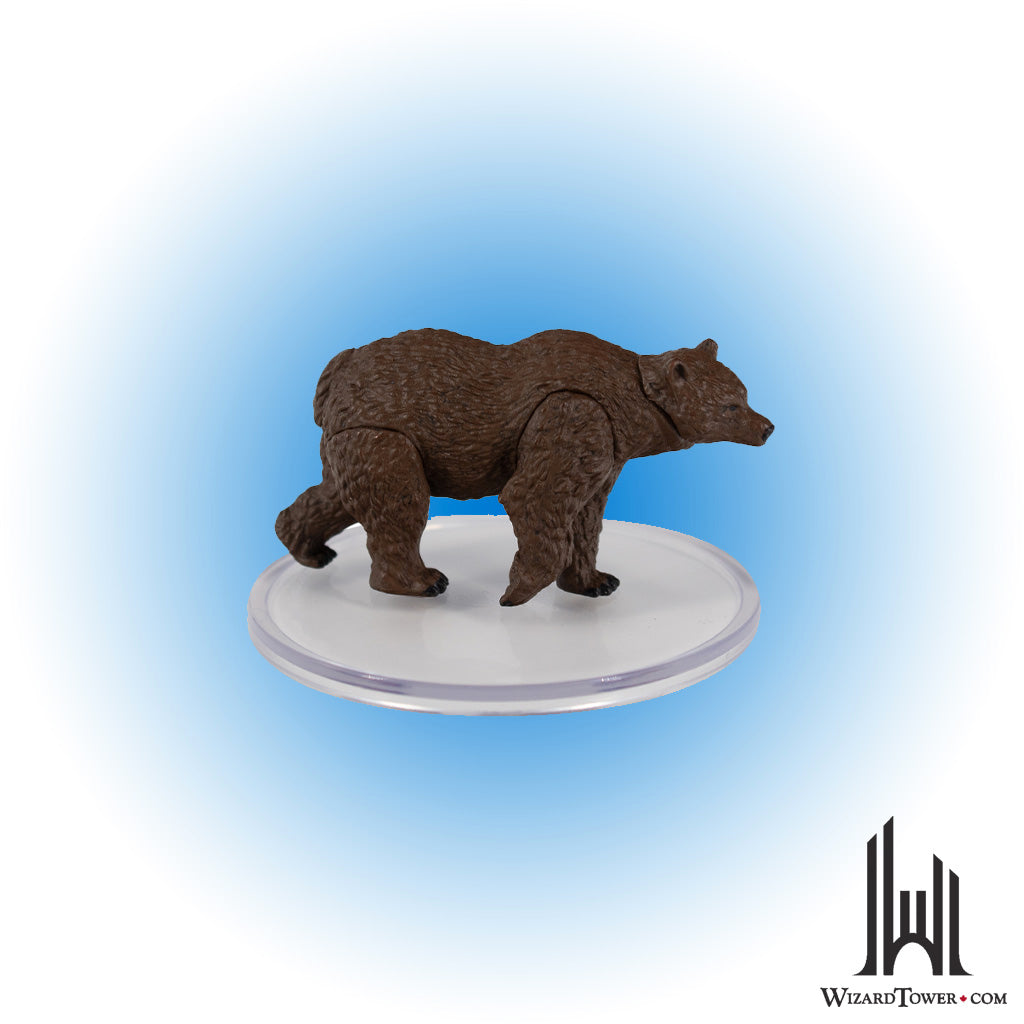 Brown Bear #27