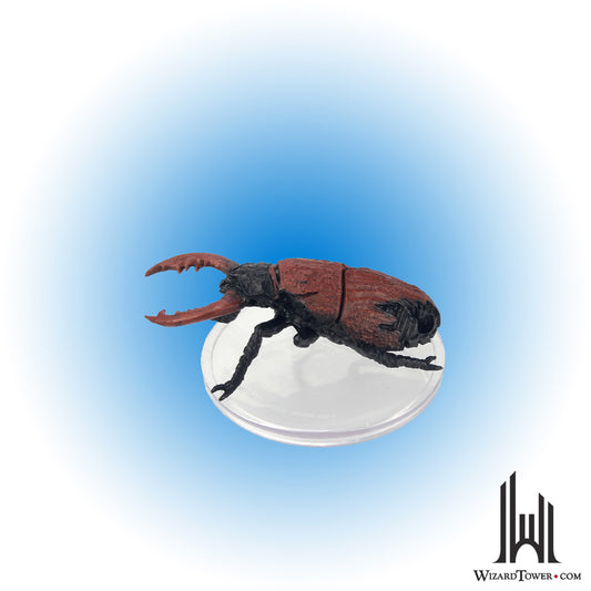 Beetle Carapace #28