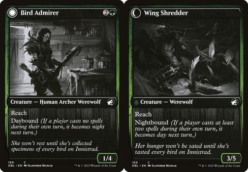 Bird Admirer // Wing Shredder - Foil